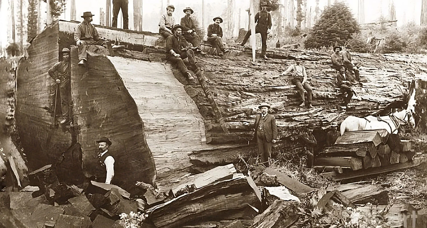Historic Lumberjacks