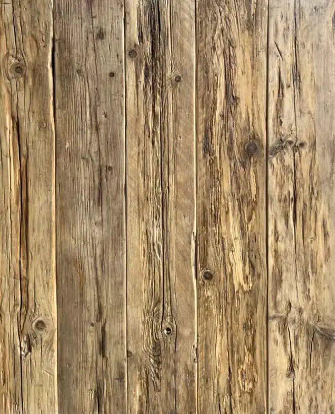 Driftwood